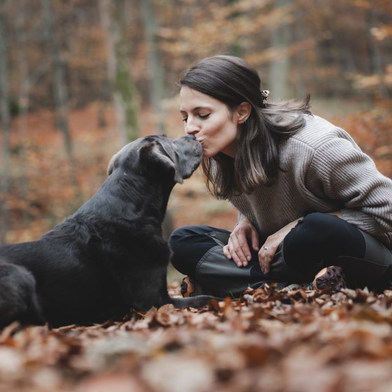 Labrador und Trainerin
